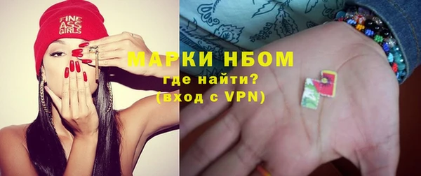 шишки Абаза
