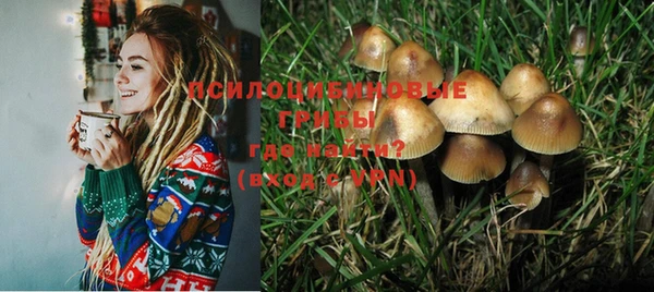 шишки Абаза