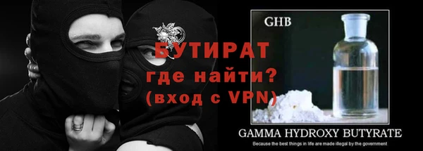 шишки Абаза