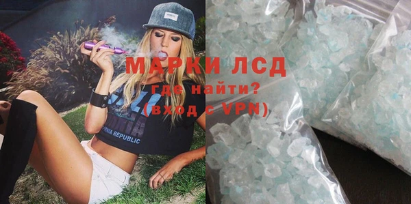 шишки Абаза