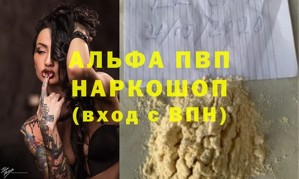шишки Абаза