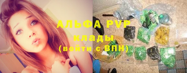 шишки Абаза