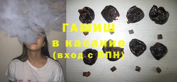 шишки Абаза
