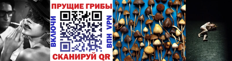 Галлюциногенные грибы мухоморы  Сысерть 