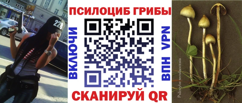 Псилоцибиновые грибы мицелий Сысерть
